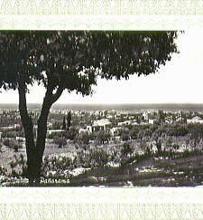 1960's Lebanon Greeting Card / Postcard: Panorama of Saida (Saidon)
