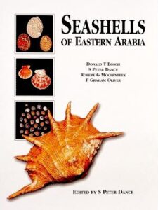 Seashells of Eastern Arabia