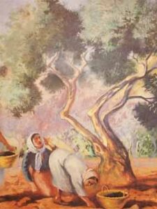 Olive Harvest - 1953 / قطاف الزيتون - ١٩٥٣